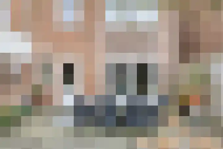 Leliestraat 75 Goes thumbnail 34
