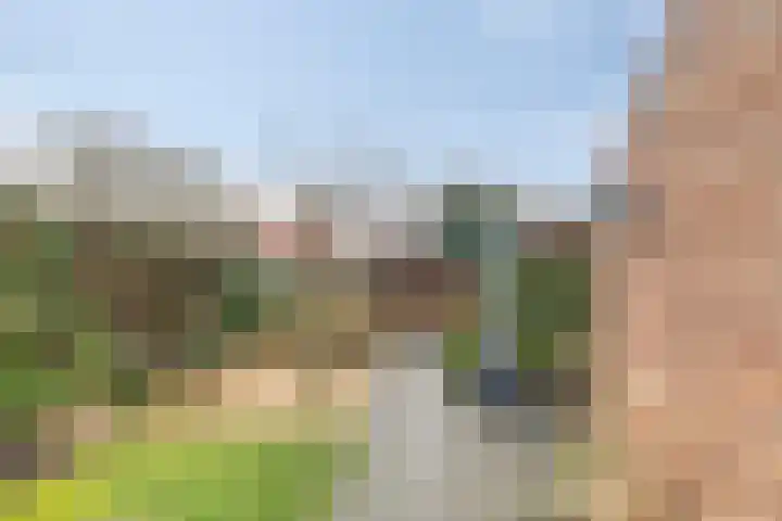 Leliestraat 75 Goes thumbnail 35