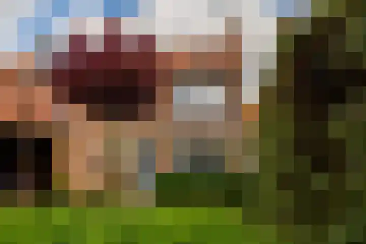 Leliestraat 75 Goes thumbnail 37