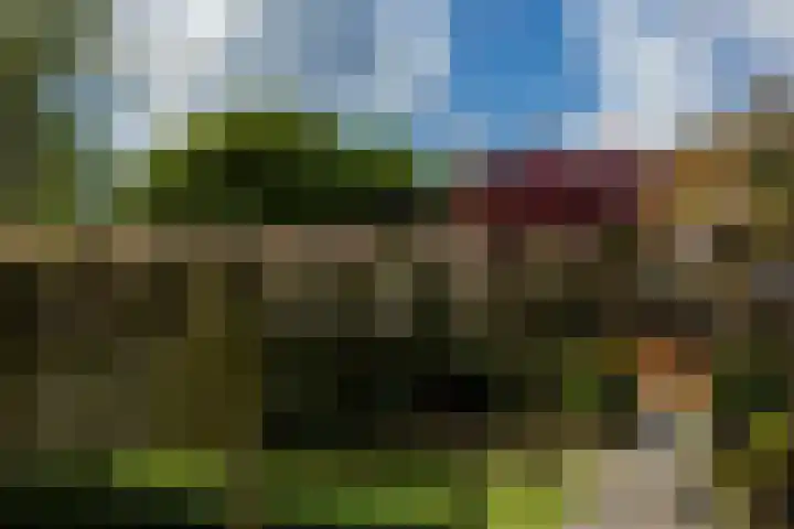 Leliestraat 75 Goes thumbnail 38