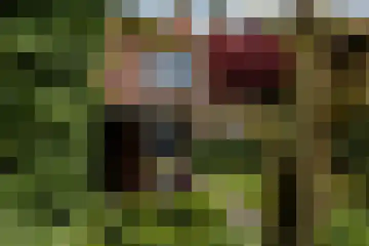Leliestraat 75 Goes thumbnail 39