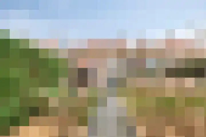 Leliestraat 75 Goes thumbnail 4