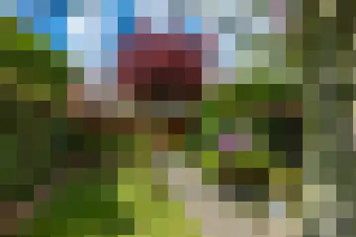 Leliestraat 75 Goes thumbnail 40
