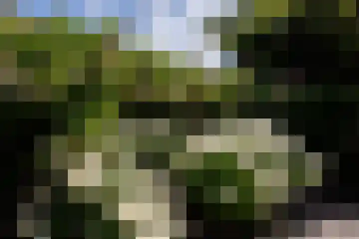 Leliestraat 75 Goes thumbnail 41