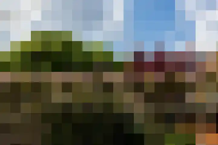 Leliestraat 75 Goes thumbnail 42