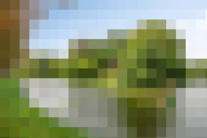 Leliestraat 75 Goes thumbnail 44