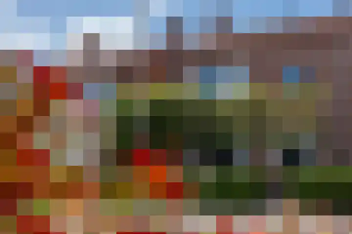 Leliestraat 75 Goes thumbnail 7