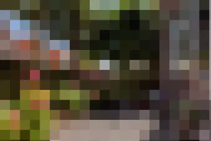 Leliestraat 75 Goes thumbnail 9