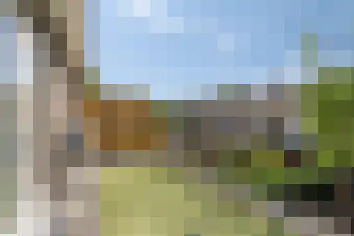 Leliestraat 76 Spijkenisse thumbnail 15