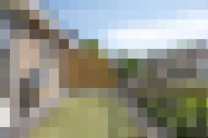 Leliestraat 76 Spijkenisse thumbnail 16