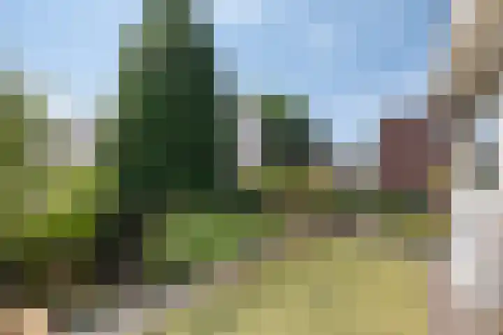 Leliestraat 76 Spijkenisse thumbnail 17