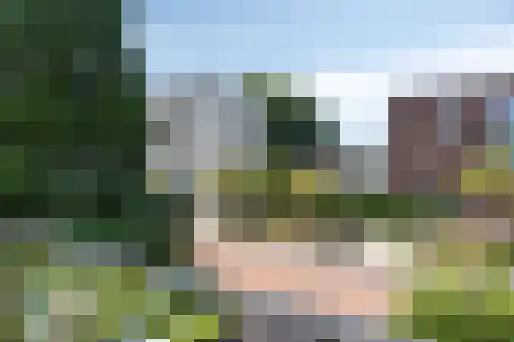 Leliestraat 76 Spijkenisse thumbnail 18