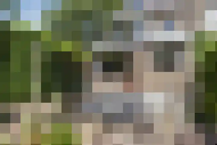 Leliestraat 76 Spijkenisse thumbnail 23