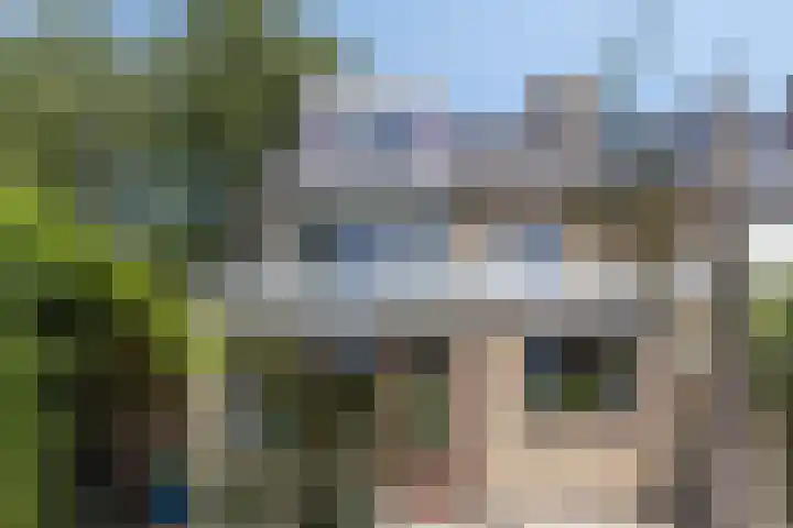 Leliestraat 76 Spijkenisse thumbnail 24