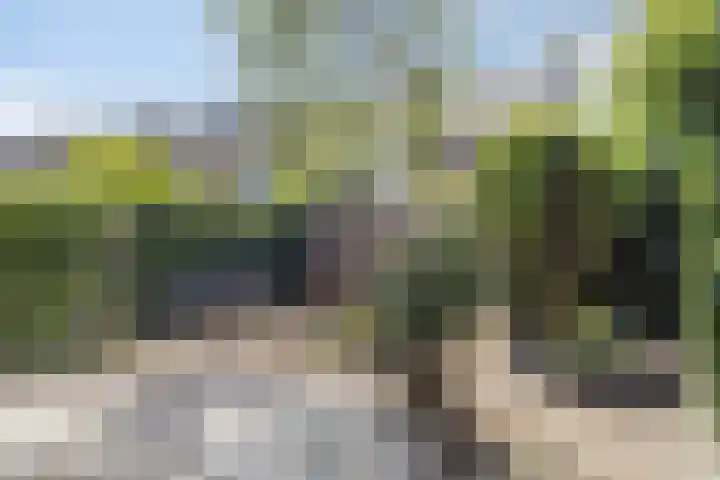 Leliestraat 76 Spijkenisse thumbnail 25