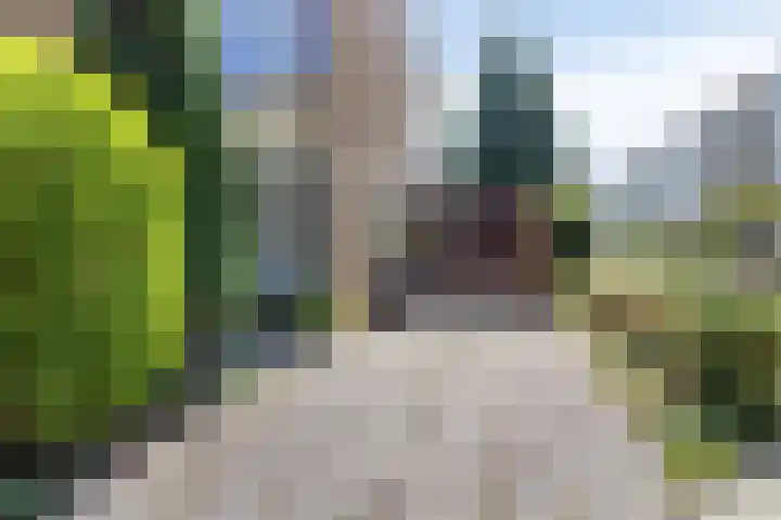 Leliestraat 76 Spijkenisse thumbnail 27