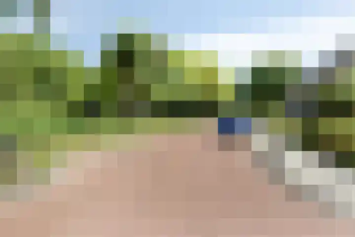 Leliestraat 76 Spijkenisse thumbnail 28