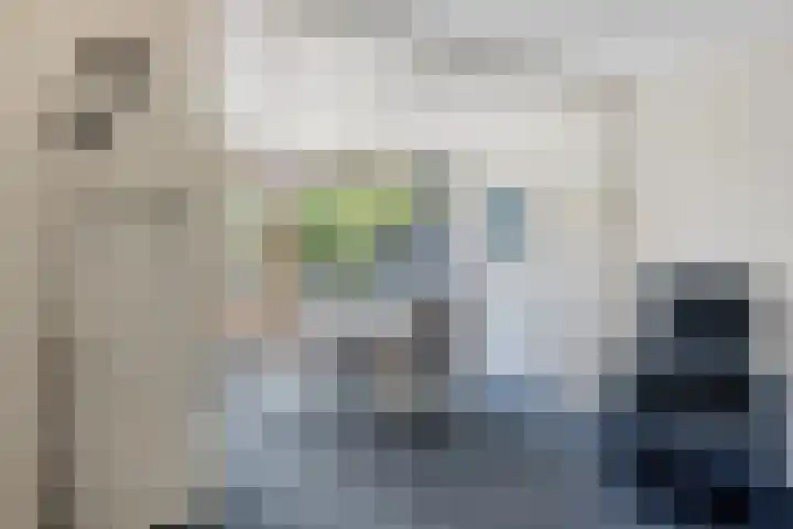 Leliestraat 76 Spijkenisse thumbnail 6