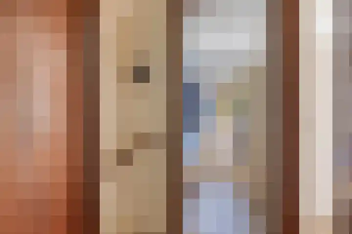 Leliestraat 76 Spijkenisse thumbnail 9