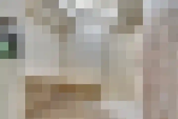 Leliestraat 77 Goes thumbnail 12