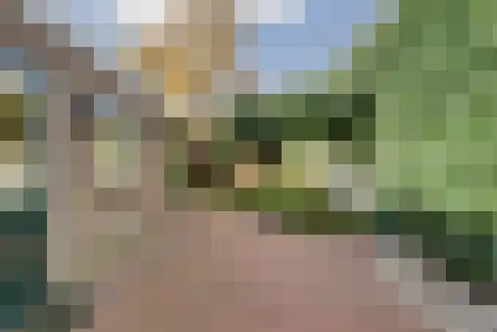 Leliestraat 77 Goes thumbnail 29