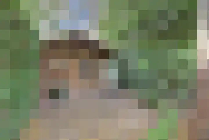 Leliestraat 77 Goes thumbnail 30