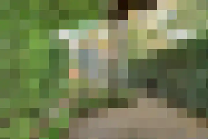 Leliestraat 77 Goes thumbnail 4