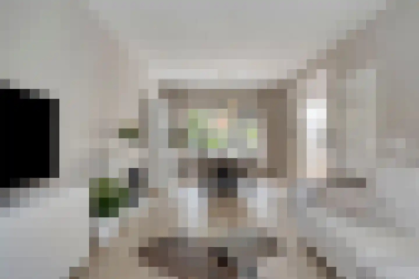 Leliestraat 79 Goes thumbnail 11