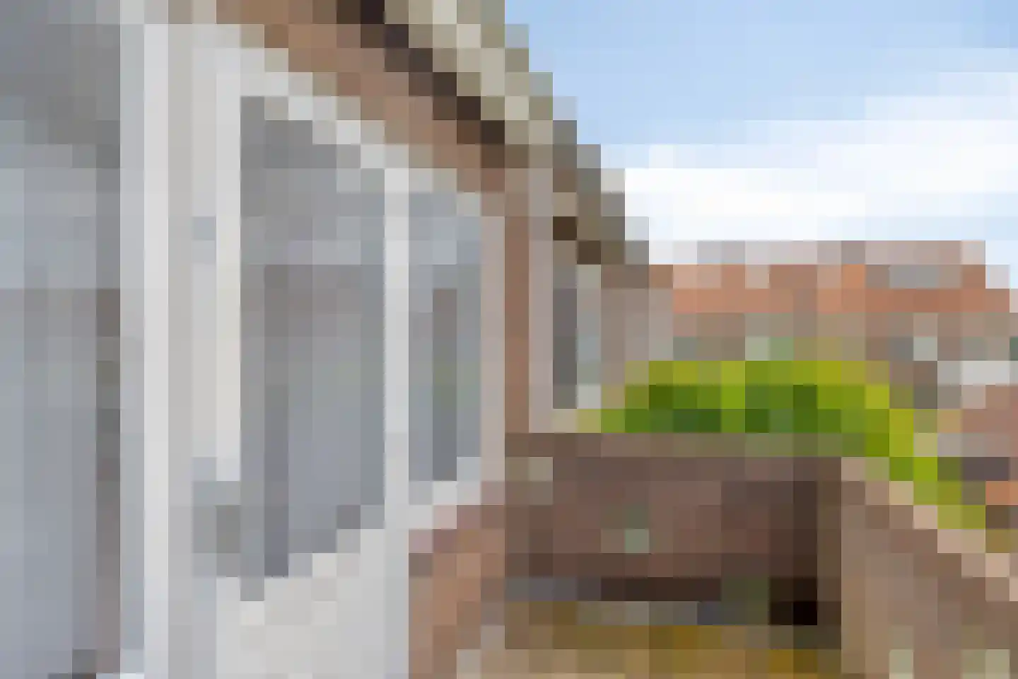 Leliestraat 79 Goes thumbnail 26