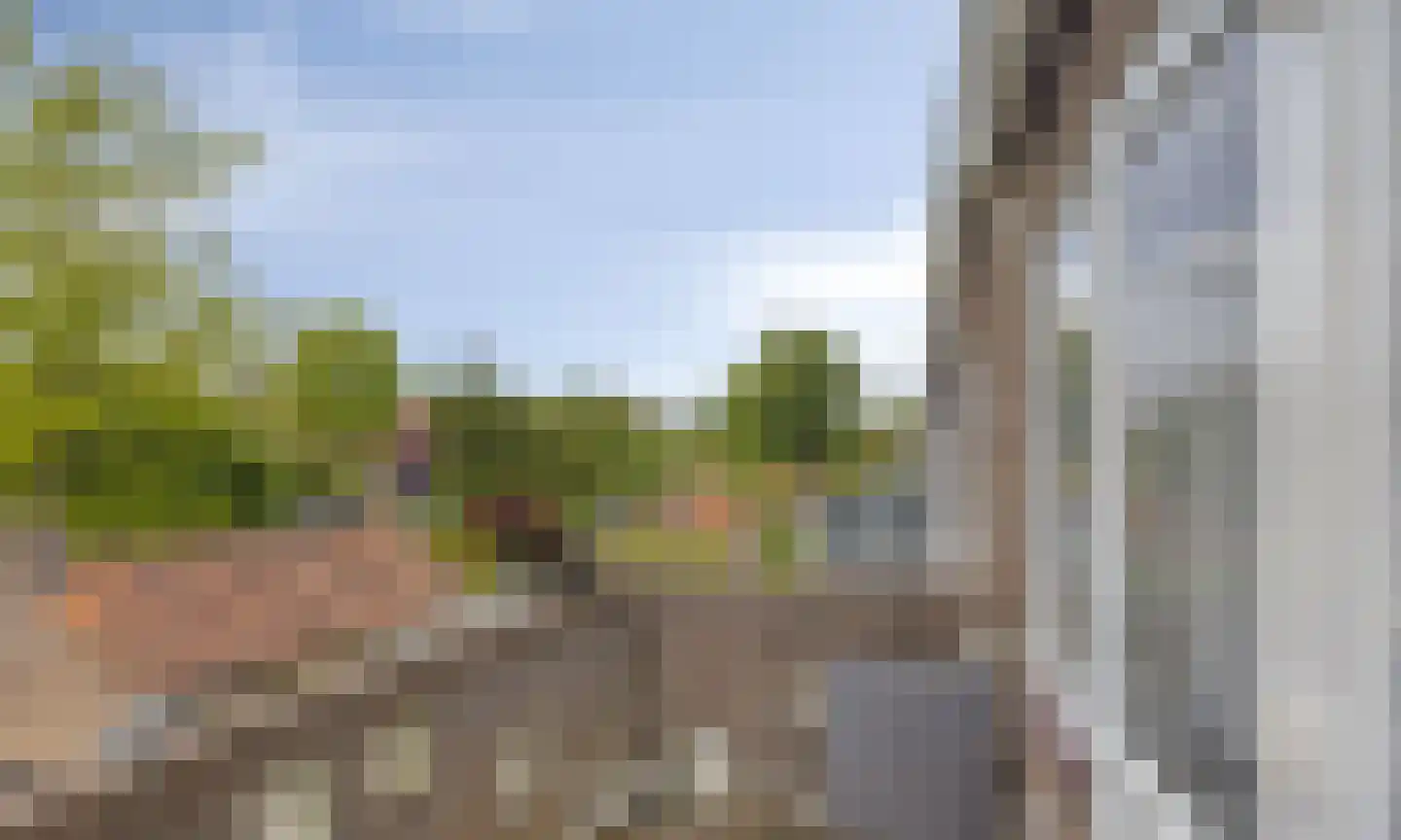 Leliestraat 79 Goes thumbnail 27
