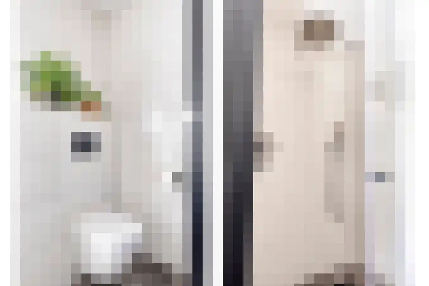 Leliestraat 79 Goes thumbnail 31