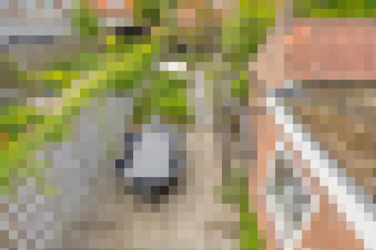 Leliestraat 79 Goes thumbnail 38