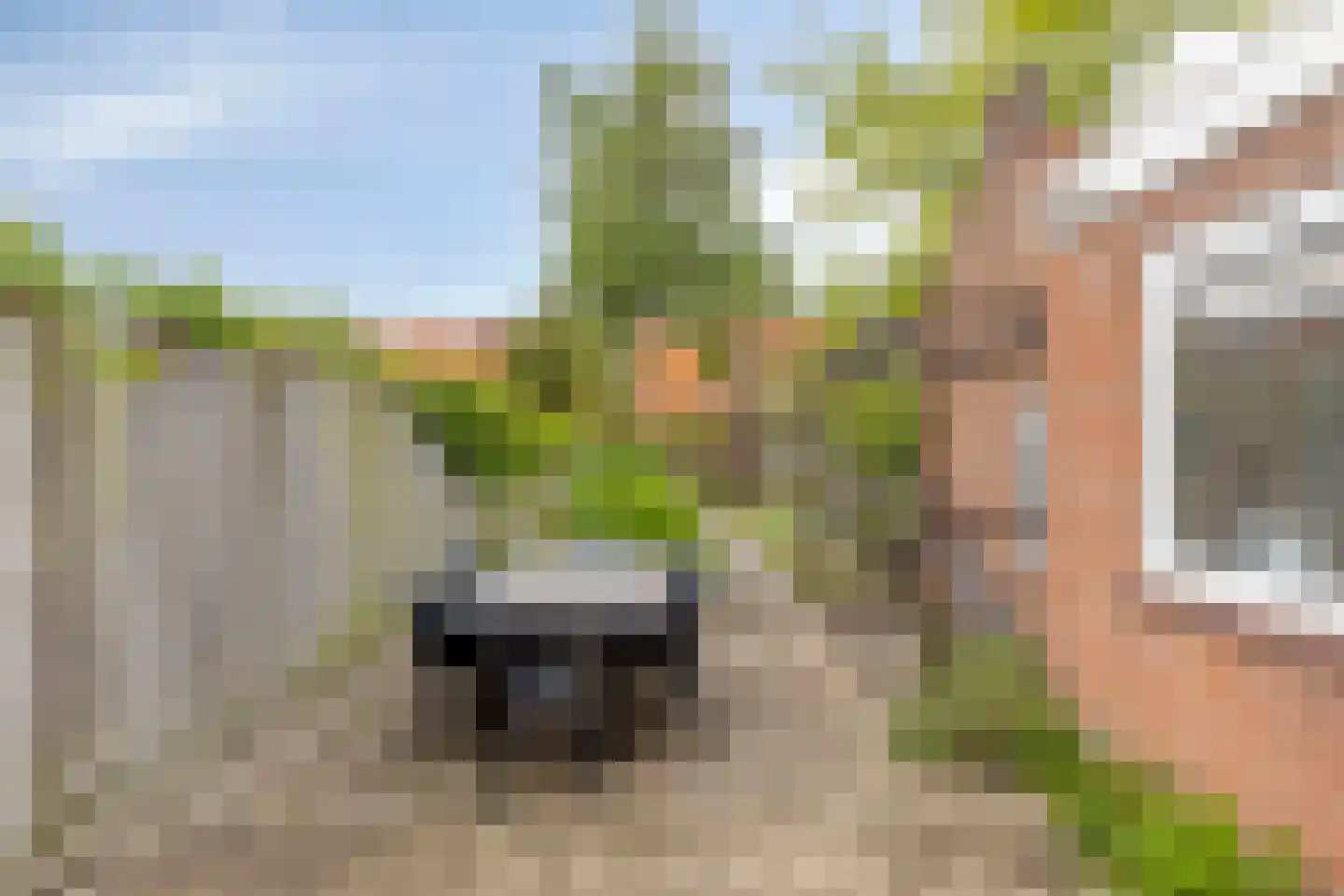 Leliestraat 79 Goes thumbnail 39