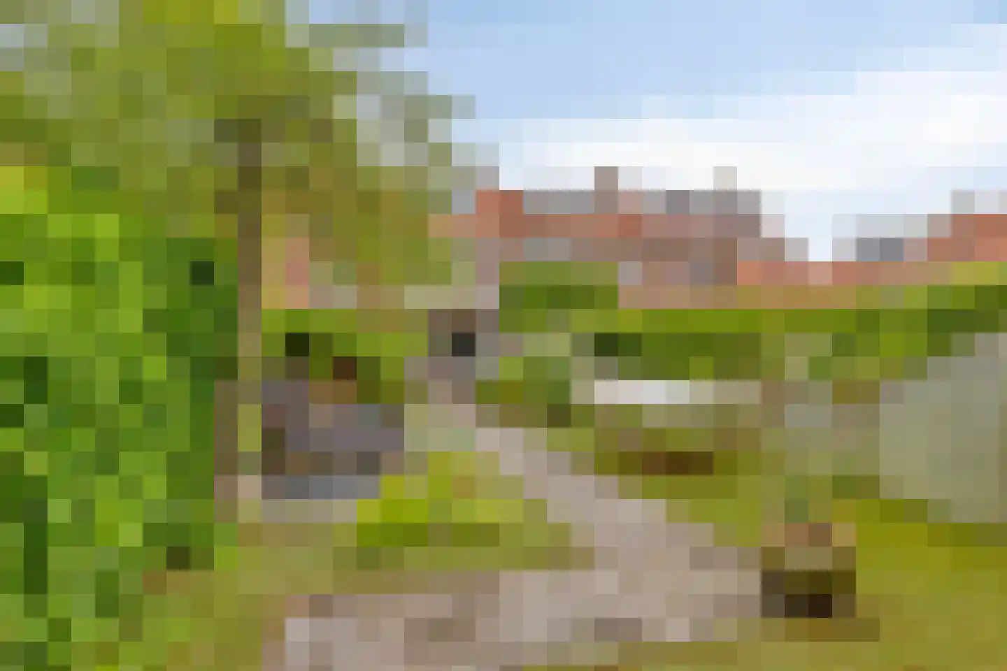Leliestraat 79 Goes thumbnail 4