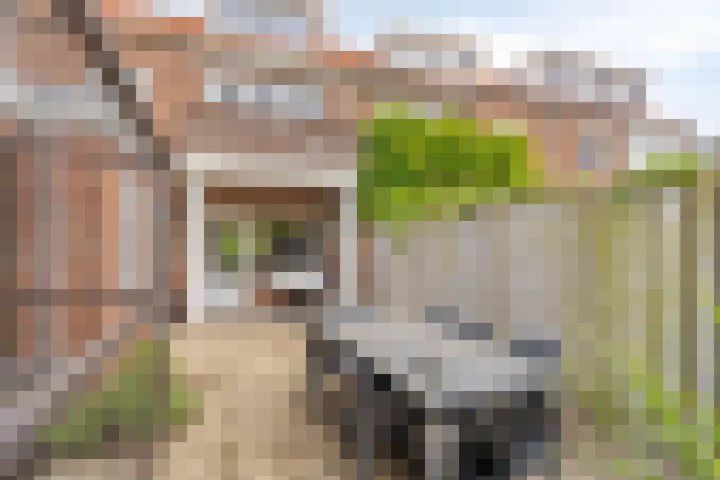 Leliestraat 79 Goes thumbnail 40