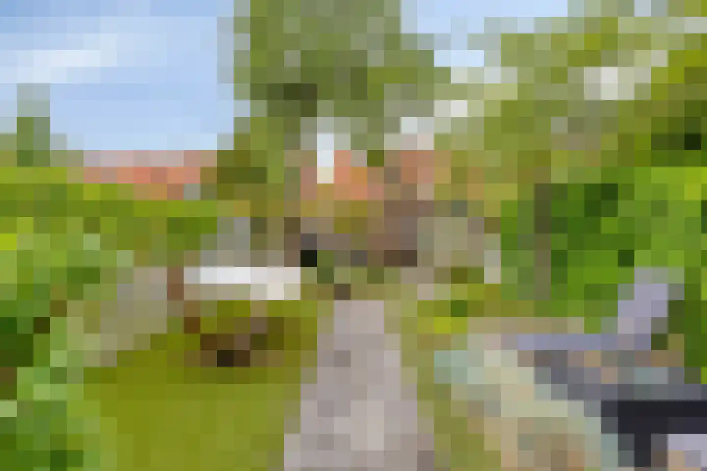 Leliestraat 79 Goes thumbnail 41