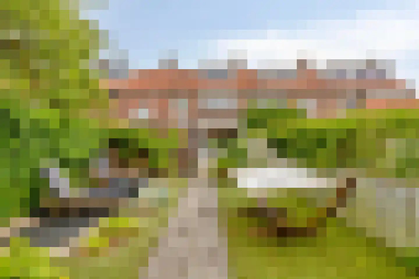Leliestraat 79 Goes thumbnail 42