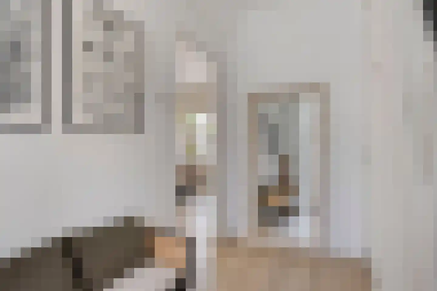 Leliestraat 79 Goes thumbnail 8