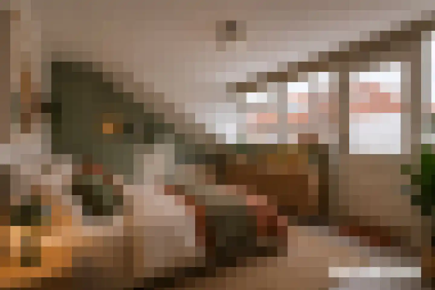 Leliestraat 8 Alphen aan den Rijn thumbnail 22