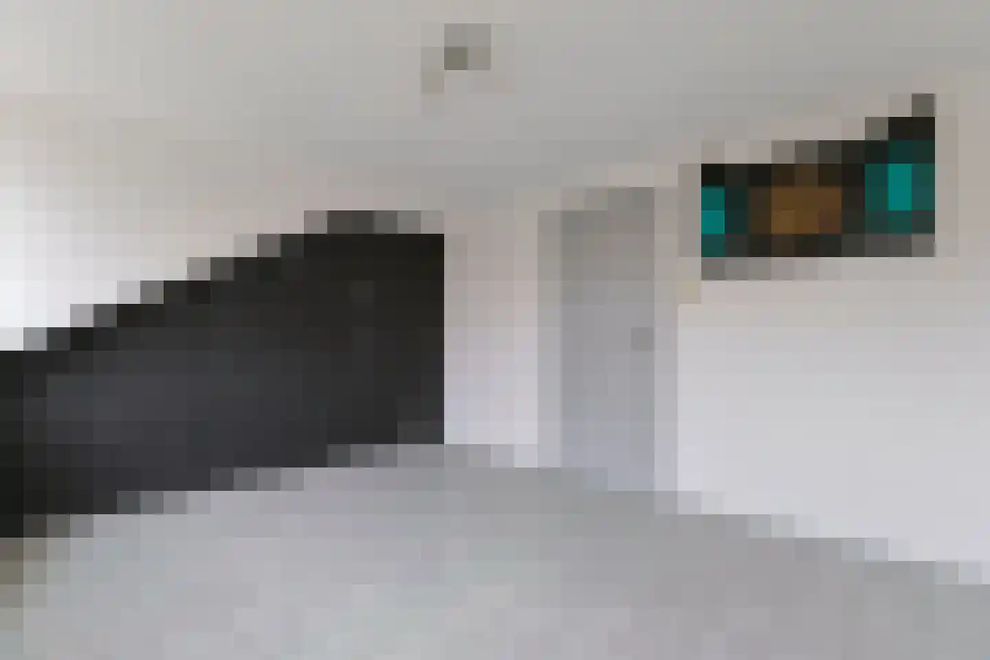 Leliestraat 8 Alphen aan den Rijn thumbnail 24