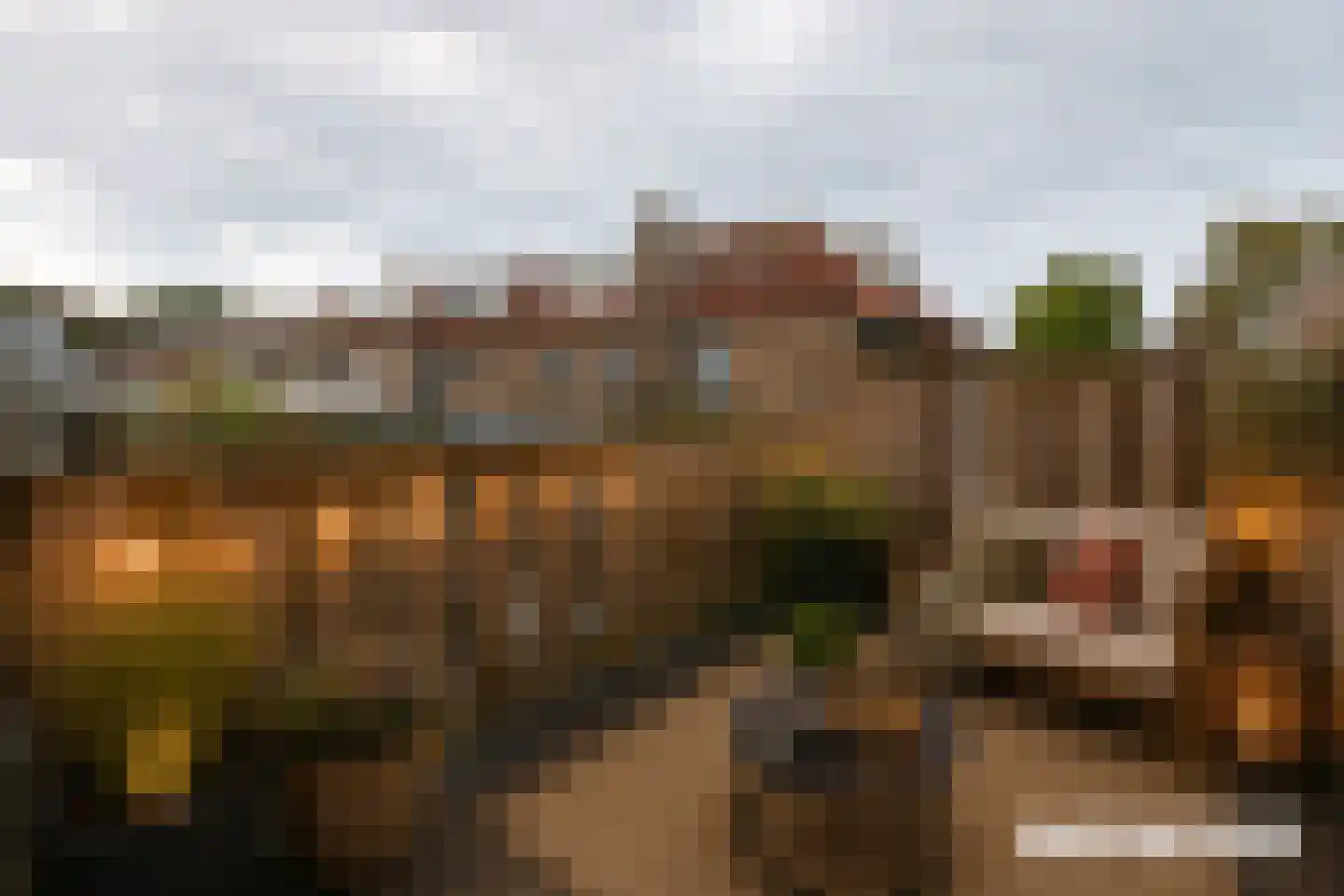Leliestraat 8 Alphen aan den Rijn thumbnail 28