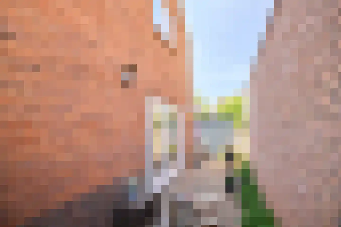 Leliestraat 8 Baarn thumbnail 27