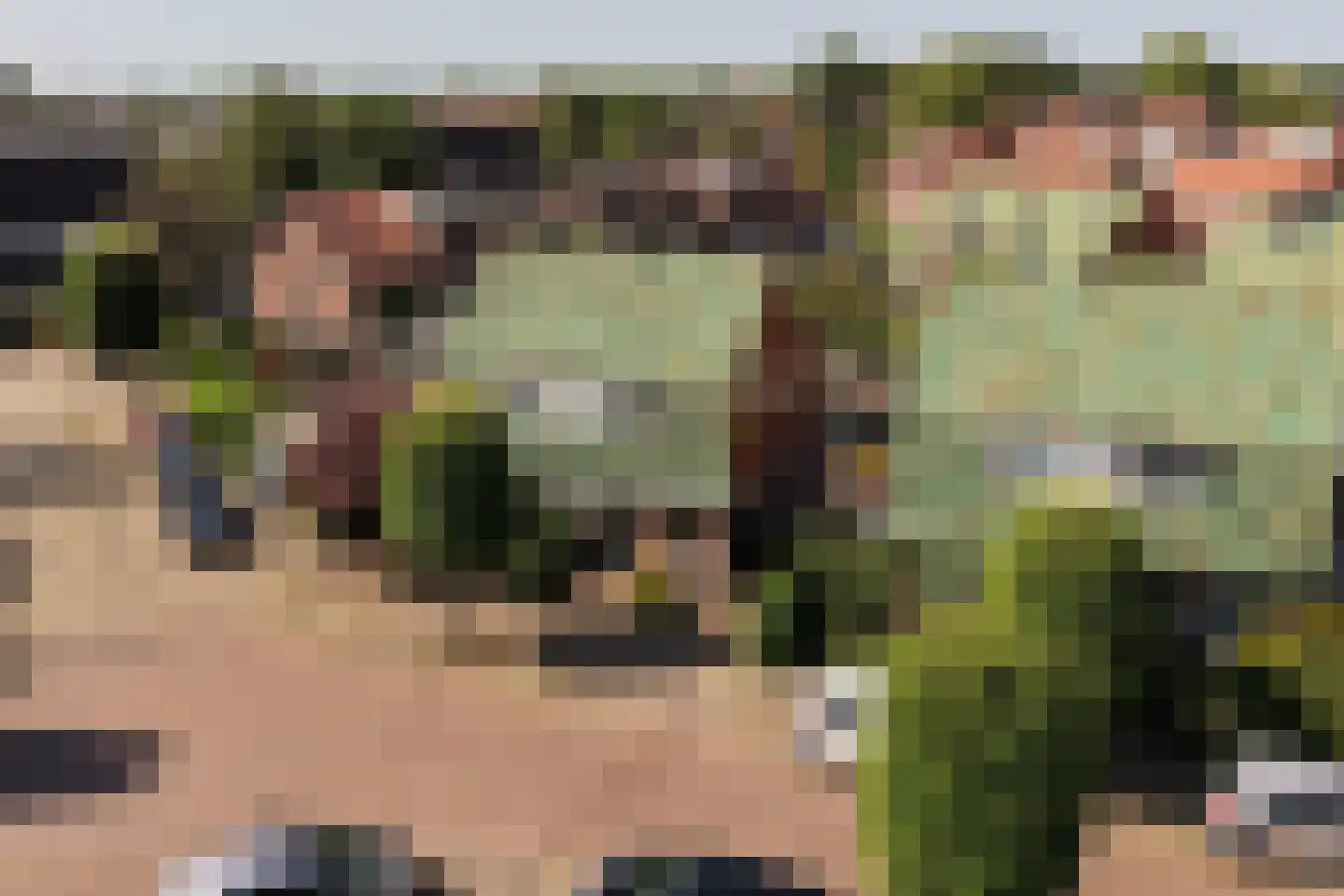 Leliestraat 8 Baarn thumbnail 32