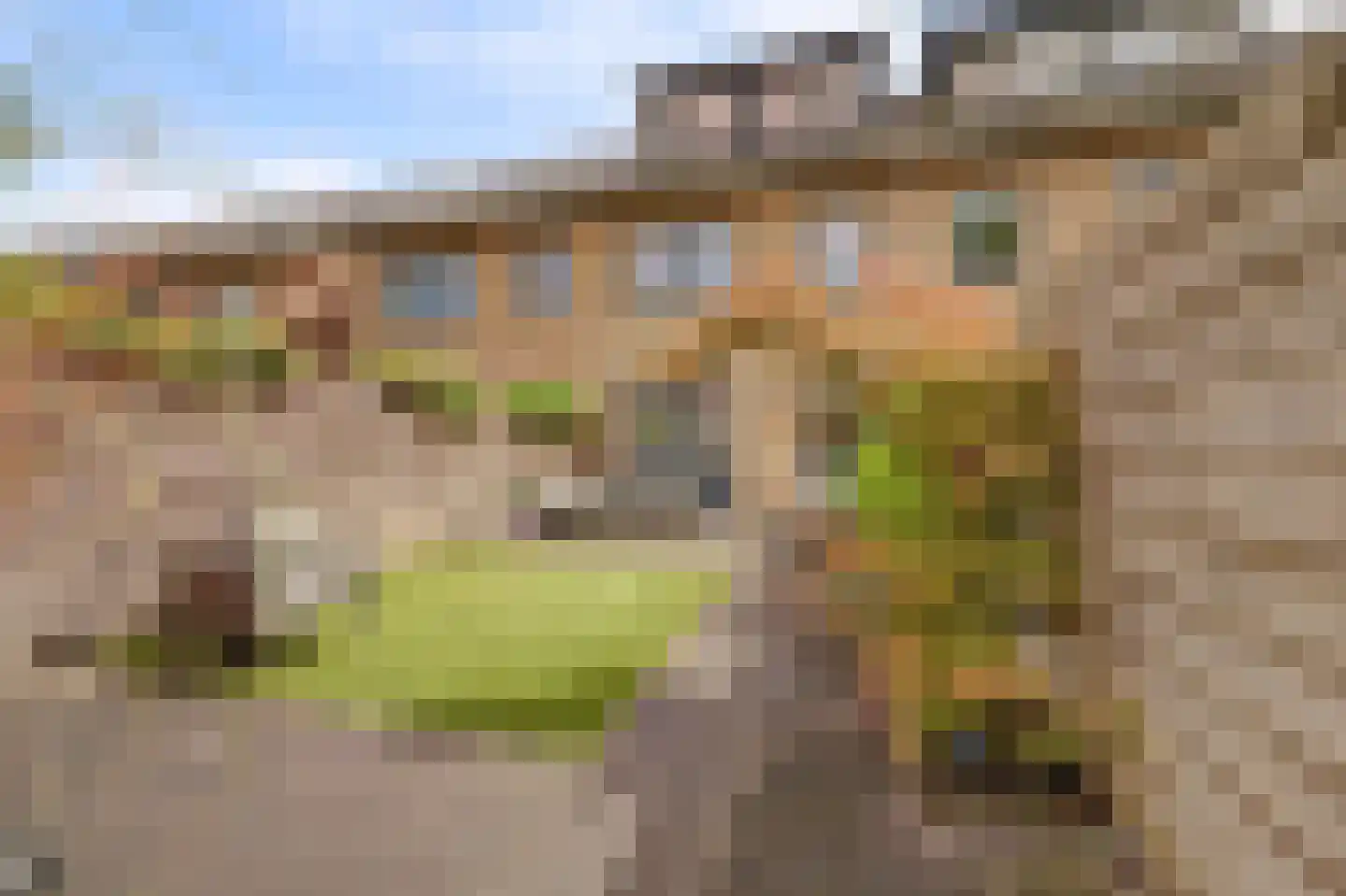 Leliestraat 8 Culemborg thumbnail 45