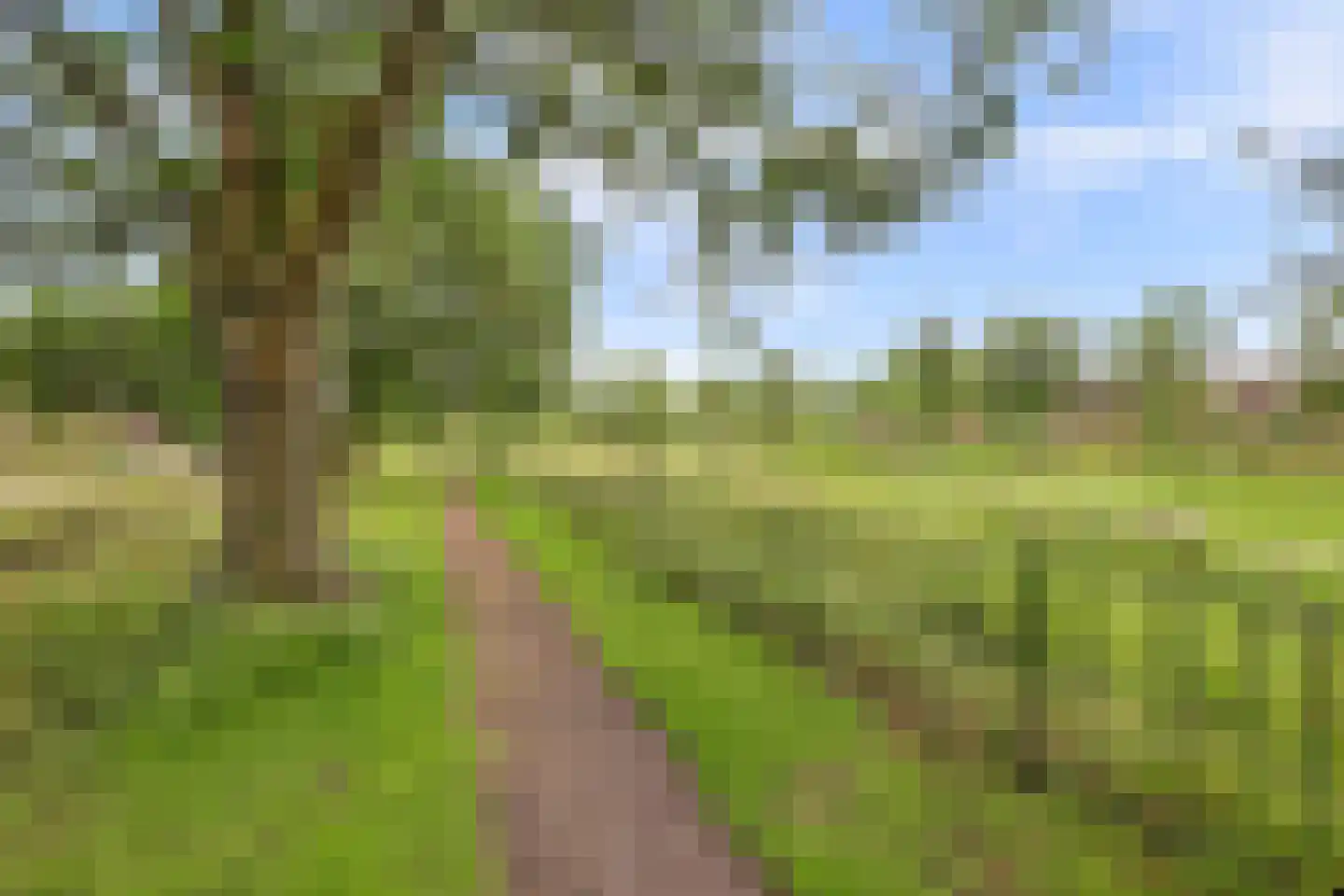 Leliestraat 8 Culemborg thumbnail 52