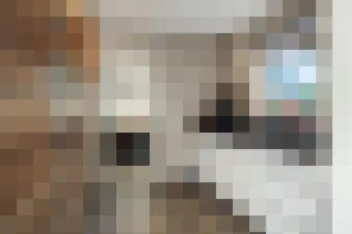 Leliestraat 8 Heesch thumbnail 11