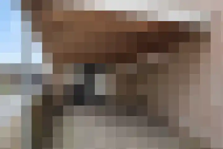 Leliestraat 8 Heesch thumbnail 48