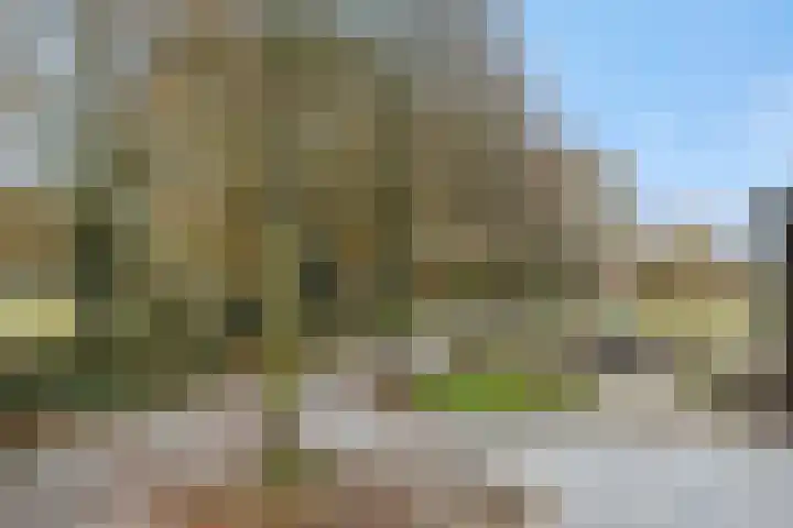 Leliestraat 8 Heesch thumbnail 58
