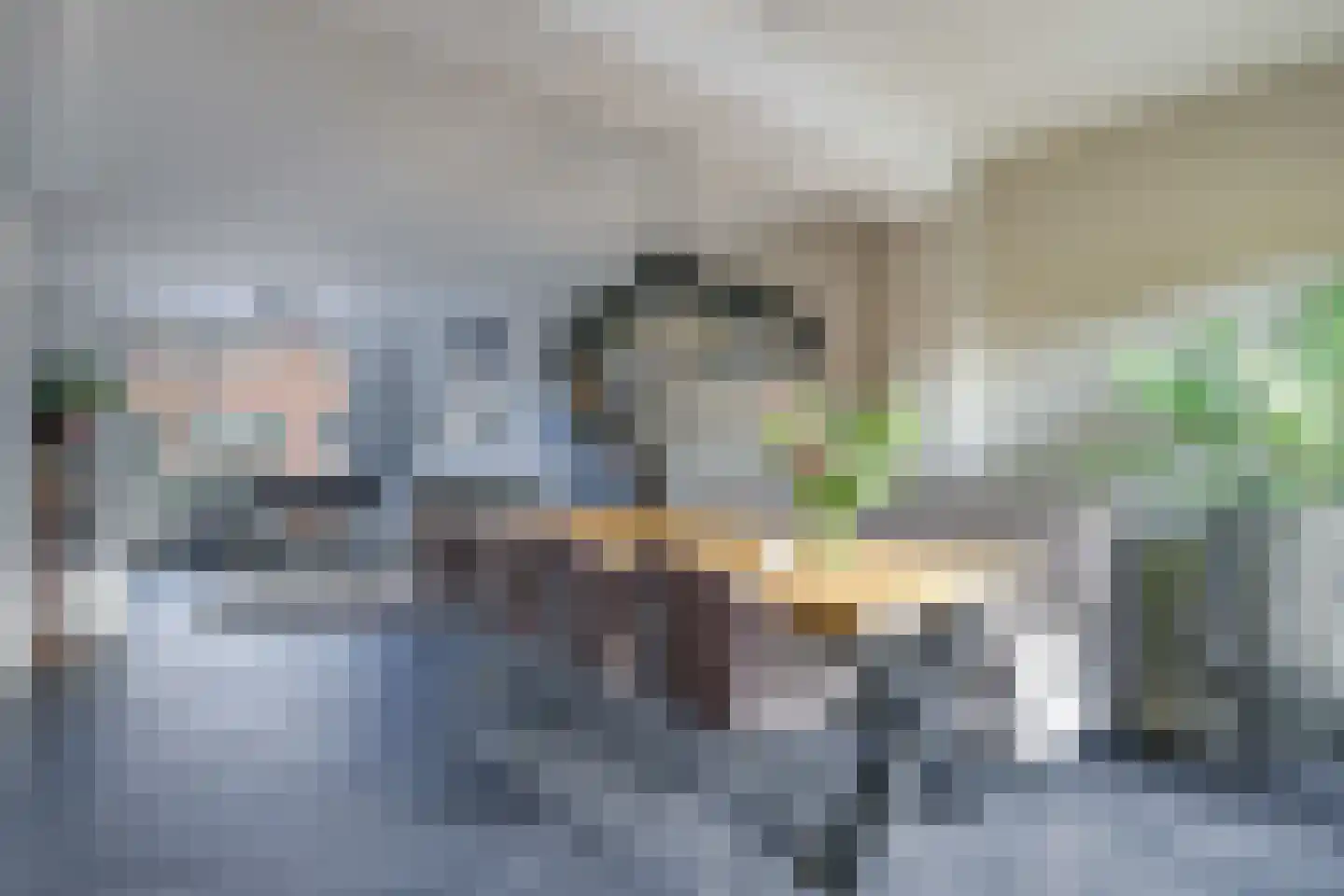 Leliestraat 8 Herveld thumbnail 13