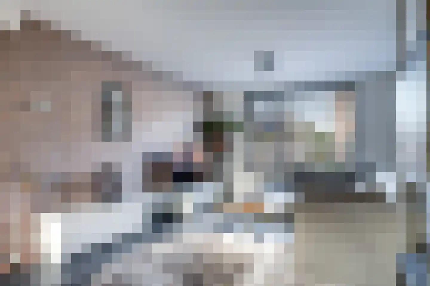 Leliestraat 8 Herveld thumbnail 17
